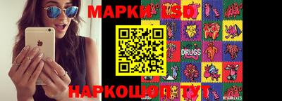 прущие грибы Можайск