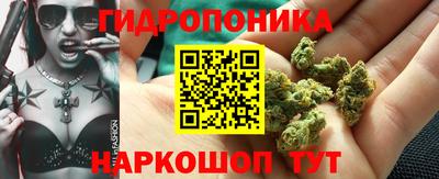 прущие грибы Можайск
