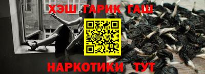 прущие грибы Можайск