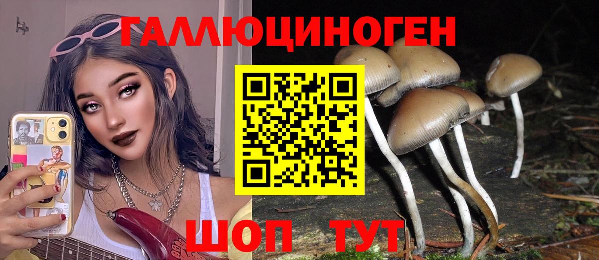 Галлюциногенные грибы Magic Shrooms Гагарин